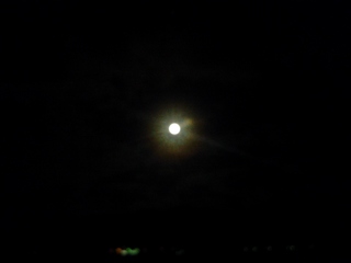 20140811_033701.jpg