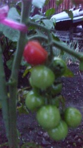 120630_1934~01.jpg