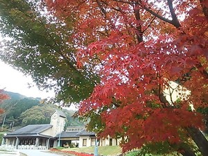 DSC_1127.JPG