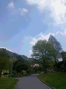 DSC_0122.JPG