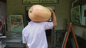 DSC_0003.JPG